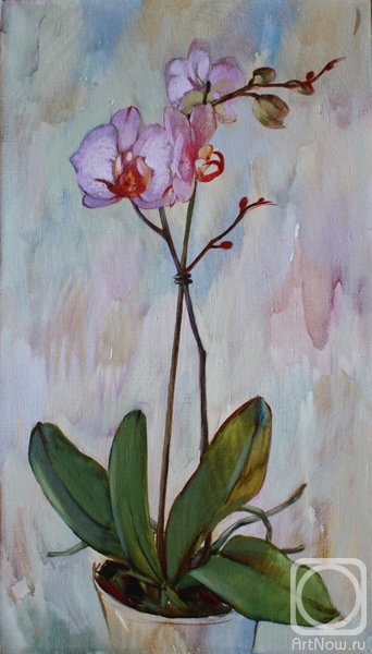 ������� ������ �� ������. ��������� ����. ��� ������� �������