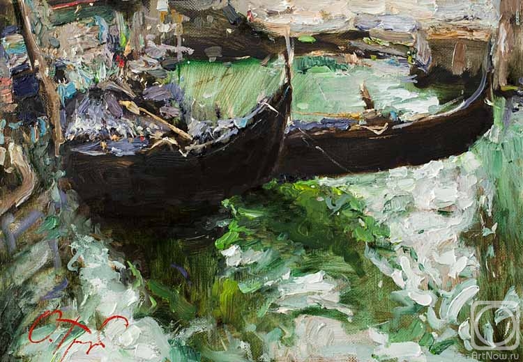 Trofimov Oleg. On the green canals of Venice