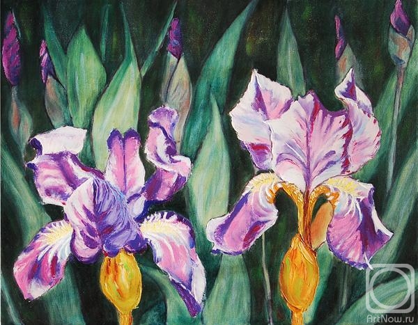 ������� ������ �� ������. ������� �������. �����