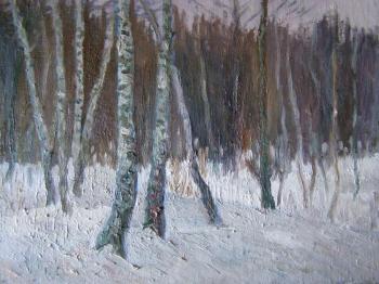 Birches. Popov Sergey