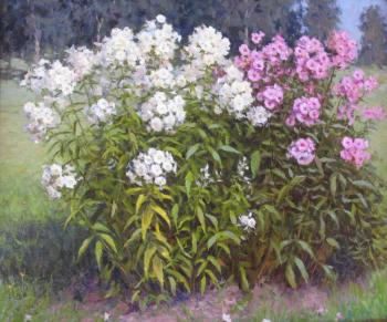 ������� ��������