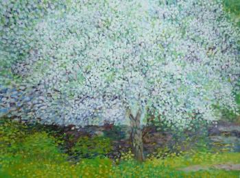 ������� ��������� ������