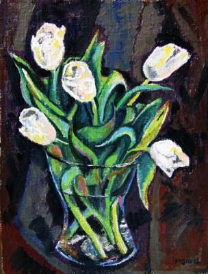 White tulips. Ixygon Sergei