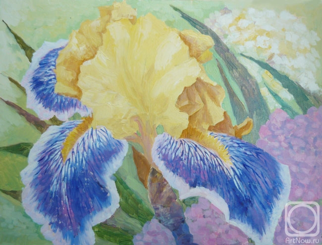 Piacheva Natalia. etude with yellow dark blue iris
