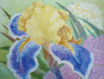 etude with yellow dark blue iris. Piacheva Natalia