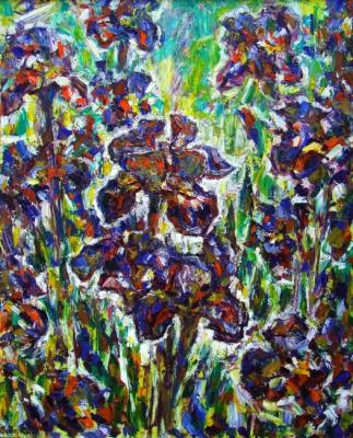 Irises. Sovetnikov Sergei