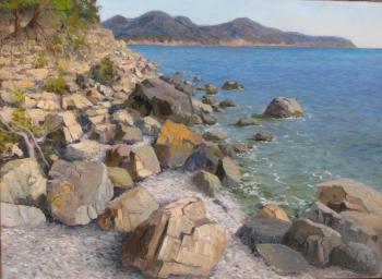 Stones on the seashore. Filippov Vladimir