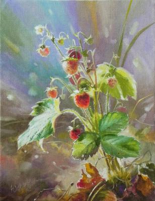 Wild strawberries. From the series "The Sun Has Goldenened"