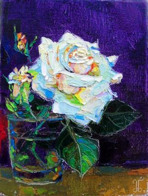 White rose. Nairashvili Marina