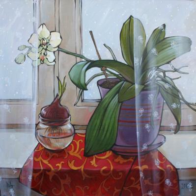 ������� ��� ����������� �����������