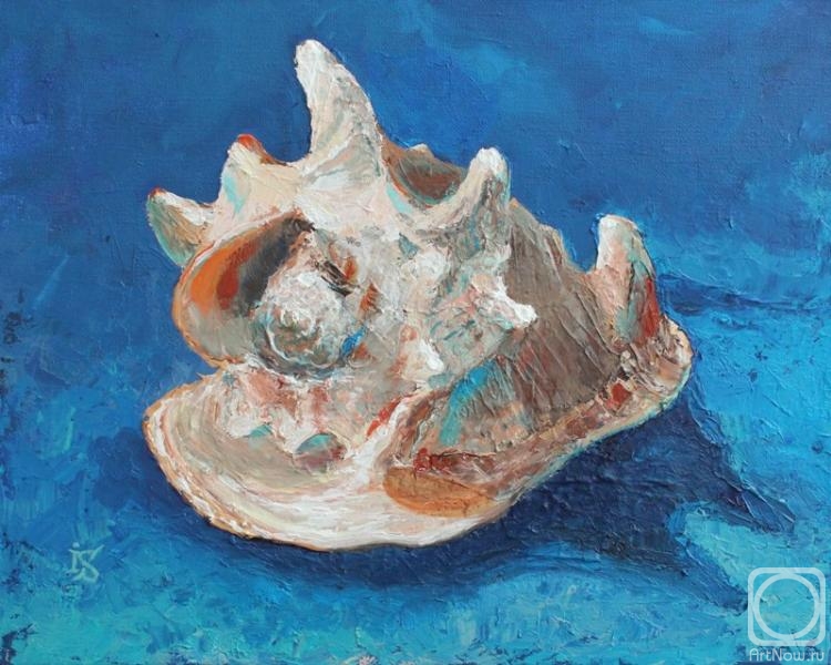 �������. �������� �����. Cassis Cornuta