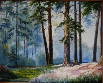 ���� �����. ������ �����