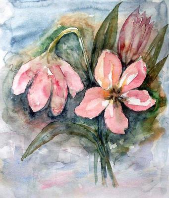 ������� ��������� ����