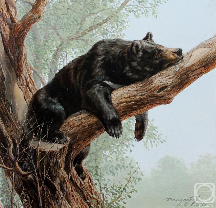 ������� ������ �� ������. ��������� �������. ������