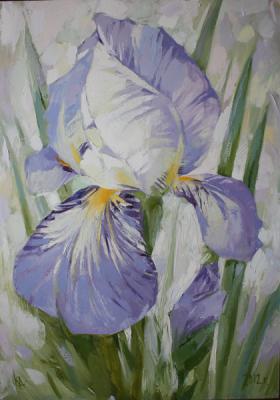 ������� ������ ����