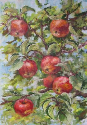 ������� ������� ���