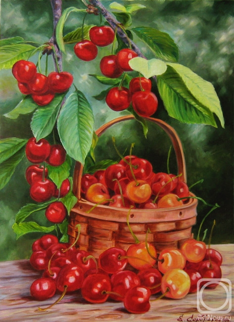 Samarskaya Helena. Cherries