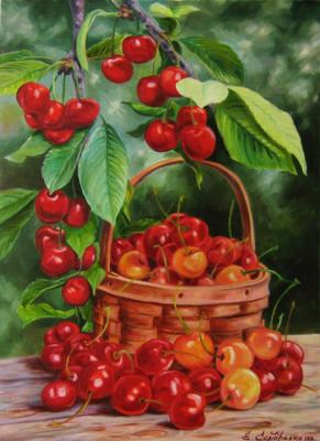 Cherries. Samarskaya Helena