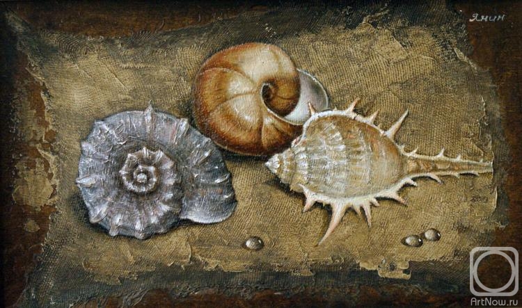 ������� ������ �� ������. ���� ���������. ��� ������