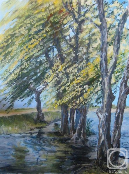 ������� ������ �� ������. ������ �����. ������ �����