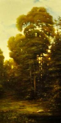 ������� ����