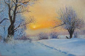 Path in the snow. Elokhin Pavel