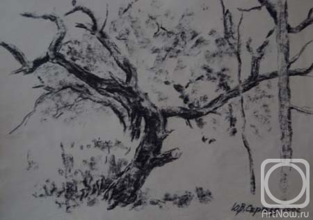 Sergeev Yury. Untitled