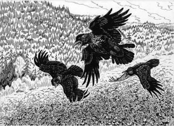 Ravens (My friend's dream). Fomin Nikolay
