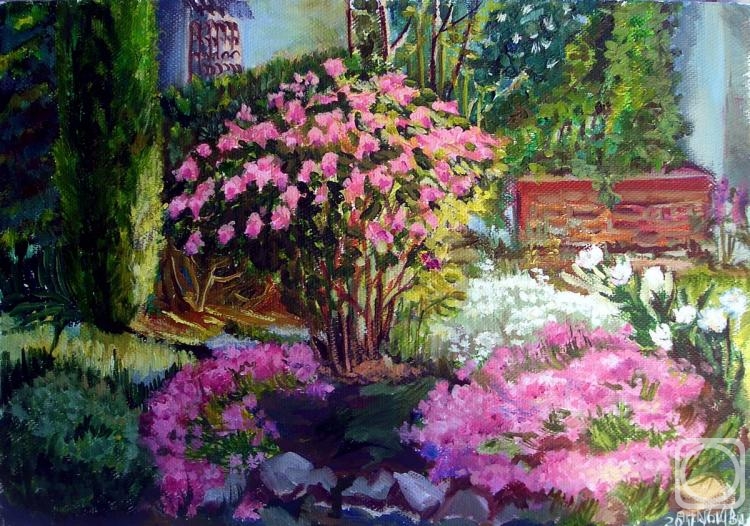 ������� ������ �� ������. ������� ������. �������� ���