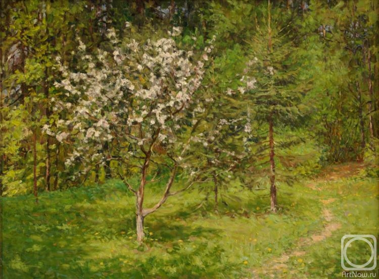 Petrenko Boris. Flowering apple Tree