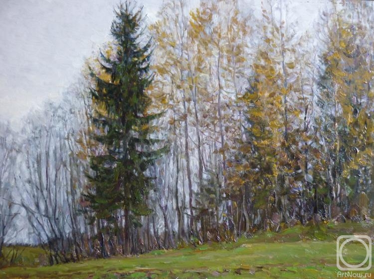 Petrenko Boris. Gloomy autumn