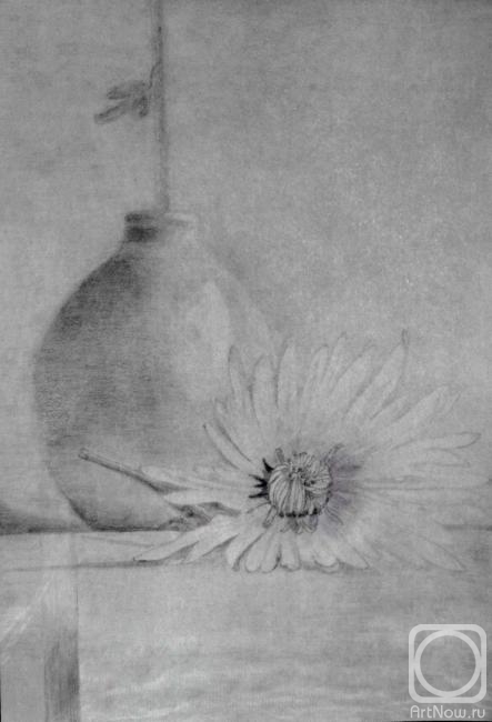 �������. �������� �����. ����������