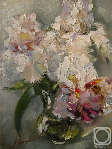 Schubert Albina. Untitled