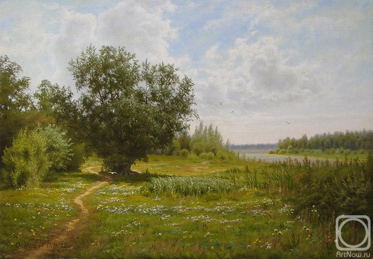 Osipsow Wladislaw. The river channels