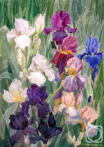 �������. ��������� ��������. �����