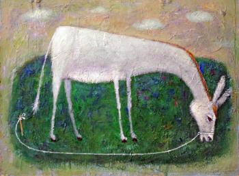White donkey. Yanin Alexander