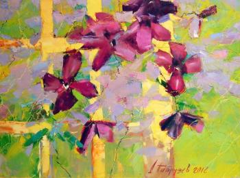 klematis flowes. Patrushev Dmitry