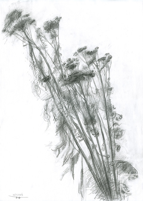 Сухая трава I» картина Юдаев-Рачея Юрия (бумага, карандаш) — купить на  ArtNow.ru
