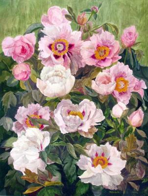 ������� �������