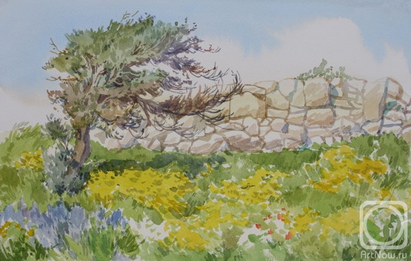 �������. ��������� ��������. ����. �������� ������