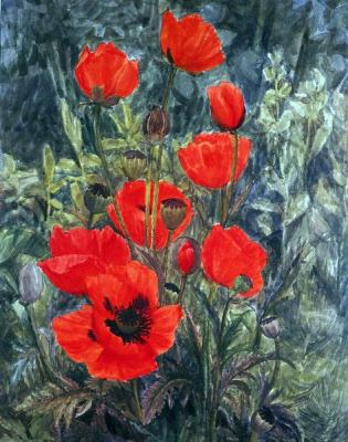 ������� �����