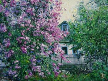 Lilacs at the house. Ostraya Elena