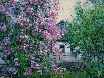 Lilacs at the house