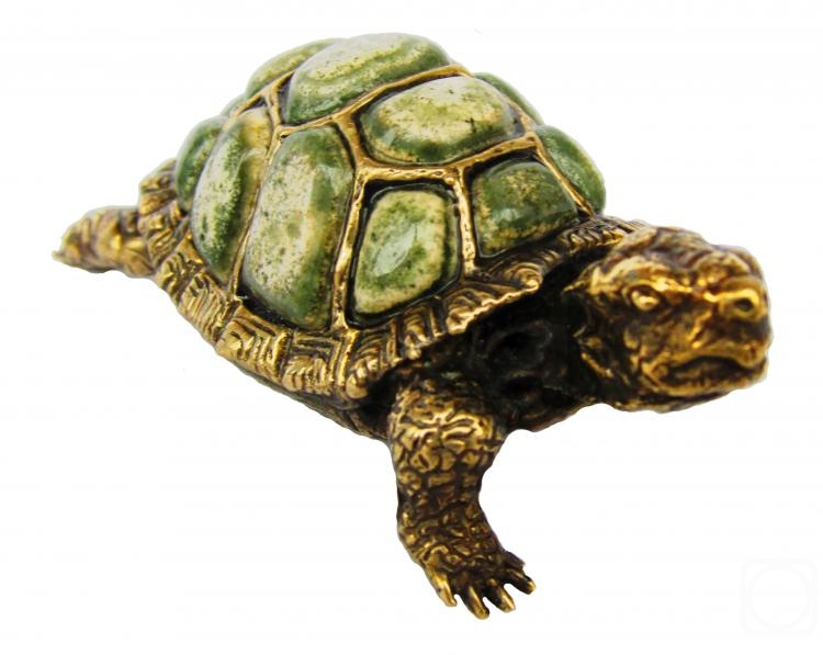 ������� ����. ���������