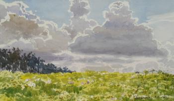 Clouds over a flowering meadow