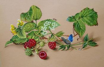 Raspberry, ant and pigeon. Belova Asya