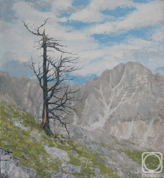 �������. ������� �������. ������� ������� ������