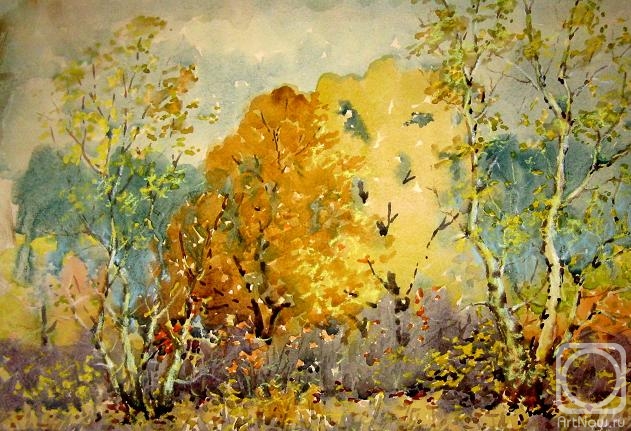 �������. ���� ����. ��������� ����