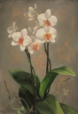 Orchids. Sergeyeva Irina