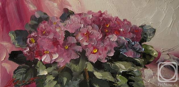 ������� ������ �� ������. ������ �������. ������ �����������